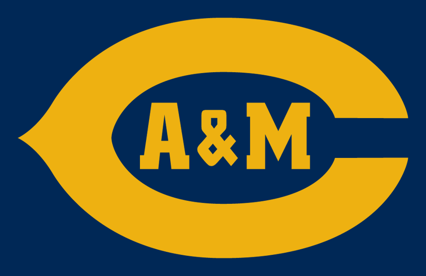 A&M-Commerce Lions 2000-2003 Helmet Logo diy iron on heat transfer